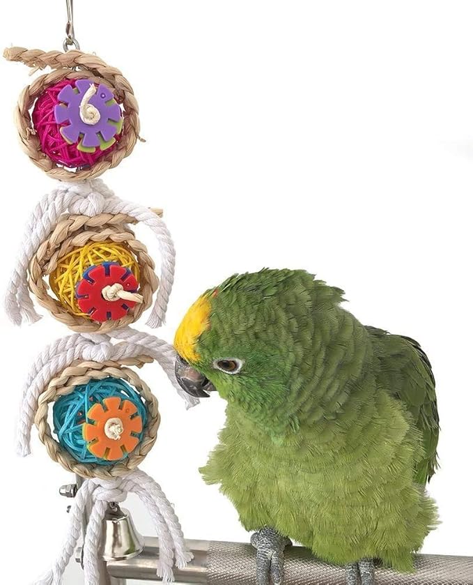 Litewoo Bird Chew Bell Toy Natural Straw Rattan Colorful for Parakeet Cockatiel African Grey Quaker Cockatoo Lovebird Caique Amazon Budgie Cage Accessories