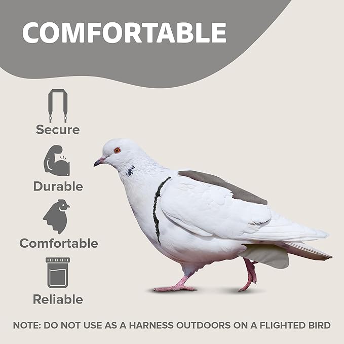 Hen Holster Premium Starter Kit - Bird Diaper, Wrap Around for Larger Pigeons, Small Breed Hens & Roosters - Leak-Proof, Comfortable Bird Harness with Sewn-in Liner & Hook & Loop Closure - XS, Gray