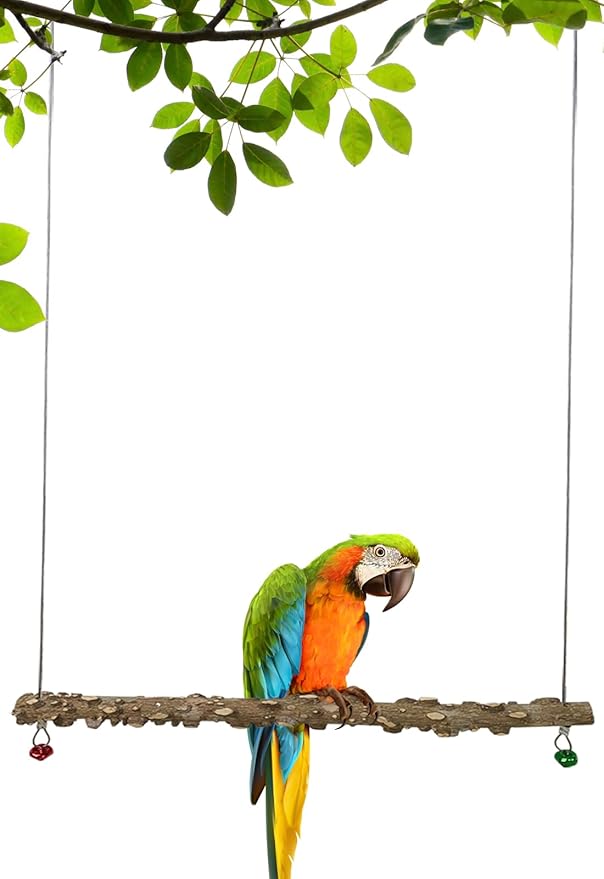 FlidRunest Bird Parrot Swing Toy, Natural Pepper Wood Bird Perch Stand, Hanging Bird Window Ceiling Swing Perch for Parrot Parakeet Conure Cockatiel Small Birds