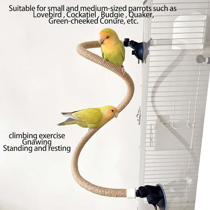 Suction Cup Set for Bird Window/Bath/Car/Travel Perches - Suitable for Small and Medium Bird Parrot Parakeet Cockatiel Conure Budgie Lovebirds