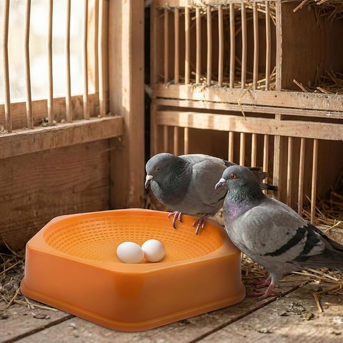 DQITJ 10 Pack Pigeon Nesting Bowl Bird Canary Anti Tip Egg Hatching House with Ventilation Holes for Home Farm (Yellow)