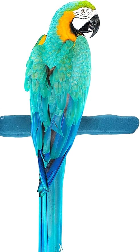 Sweet Feet and Beak Comfort Grip Safety Perch for Bird Cages - Pedicure Perch for Birds to Keep Nails and Beaks in Top Condition - Safe Easy to Install Bird Cage Accessories L 13" - Blue