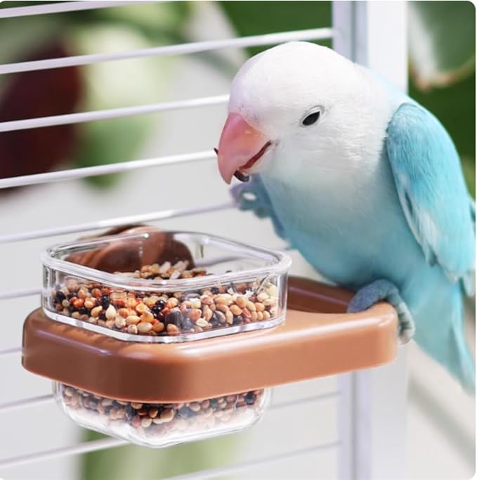 Bird Cage Feeder Portable Bird Plastic Feeding Dish Cup Detachable Bowl with Perch for Parakeet Budgies Cockatiel Lovebird Small Birds (Round,Coffee)