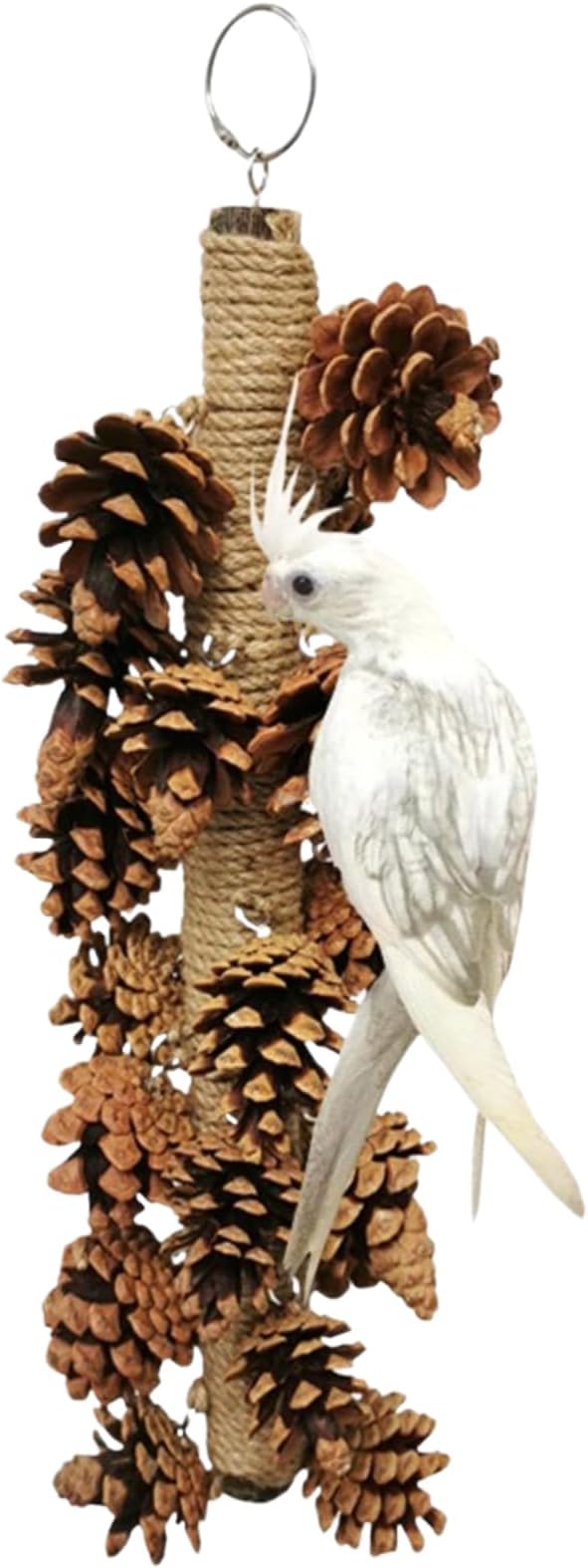 Parrot Toys Natural Pine Cones Bird Chew Toys Hanging Chewing Sticks Toys Bird Cage Toys for Conures Parakeets Cockatoo Cockatiel (with 18 Pinecones)
