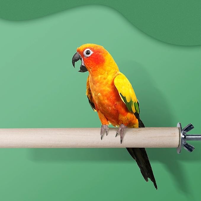 Woohome 7 PCS Natural Wood Bird Perch Stand, 5 Size Bird Parrot Perch Stand Set, Wooden Parrot Perch Stand for Parrotlets Cockatiels Budgies Parakeets