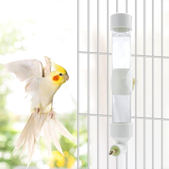 Bird Water Dispenser Parrot Waterer Automatic Bird Water Feeder for Medium Birds Parakeet Cockatiel Conure Caique (Medium)