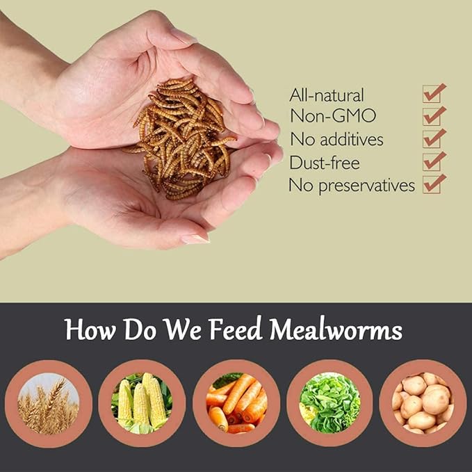 Non-GMO Dried Mealworms,11LB 100% Natural Large Size No Moisture,Treats for Birds Chickens Hedgehog Hamster Fish Reptile Turtles