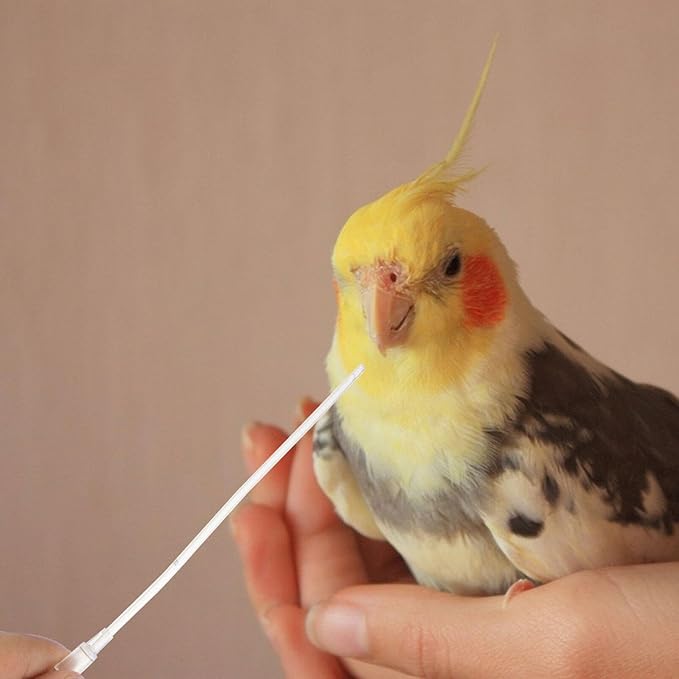 5Pcs Bird 12cm Immature Birds Device Transparent Feeder Water Feeder for Parrot Hand Tools Parakeet Food