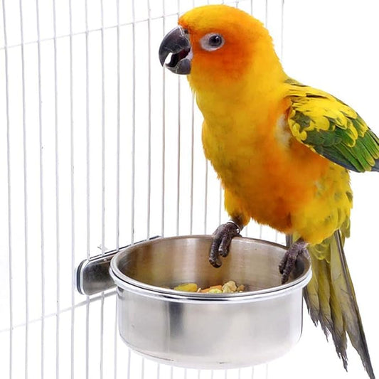 Bird Water Bowl Stainless Steel Bird Feeder for Cockatiel Conure Parakeet Chinchilla 10 Ounce