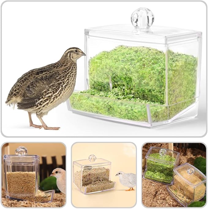 POPETPOP Bird Feeder for Multiple Pets, Transparent Design, 150 oz Capacity