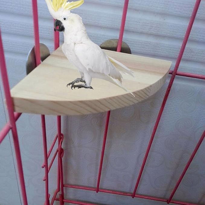 Fdit Bird Wooden Stand Fan Shaped Design for Parrot Cockatiel Parakeet