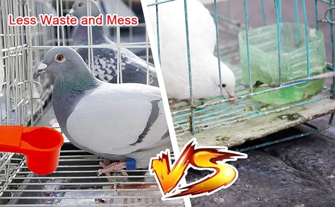 10 Pcs Bird Drinker Feeder Plastic Soda Pop Water Bottle Cup Pigeon Water Bottle Feeder for Cage for Chicken Pigeons Birds (Plastics, 10pcs)