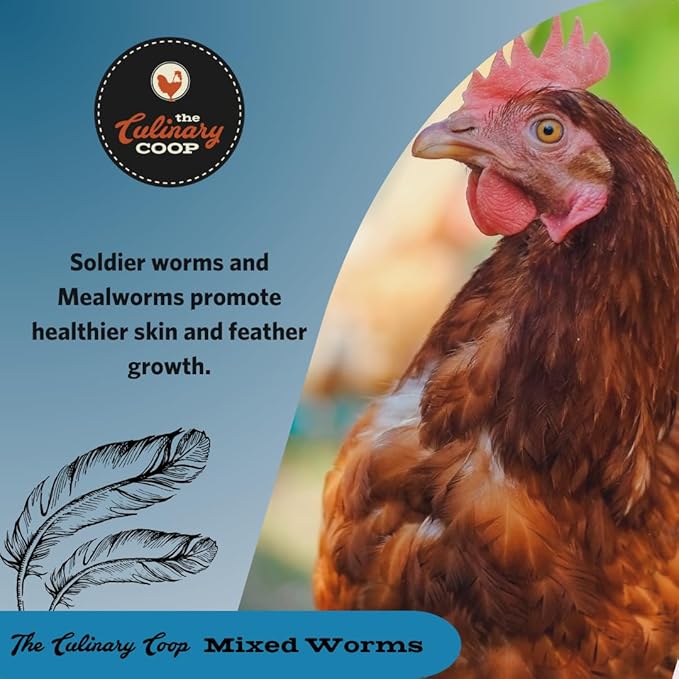 Fluker's Culinary Coop Bulk Dried Mealworms & Soldierworms, Premium Organic Dried Worm Mix for Chickens-High Protein & Omega 3 Chicken Feed for Wild Birds & Chicken Treats for Laying Hens, 10lbs