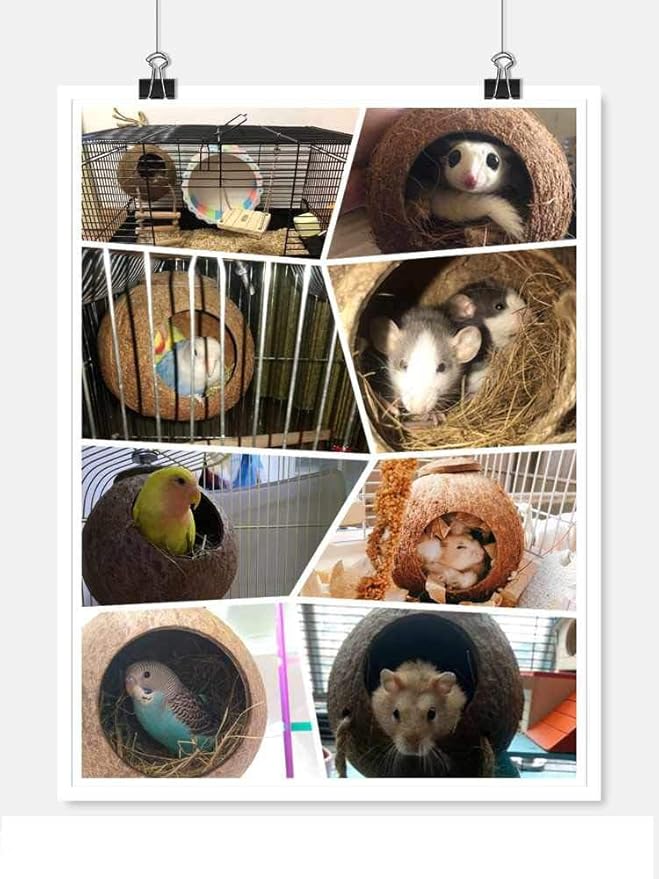 Hanging Bird House with Ladder Natural Coconut Fiber Shell Bird Nest Breeding for Parrot Parakeet Lovebird Finch Canary Coconut Hide Bird Swing Toys for Hamster Bird Cage Accessories Pet Bird Supplies