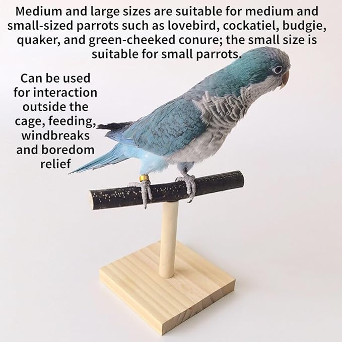 Bird Perch Stand, Bird Training Portable Tabletop Platform, Parrot Cage Toy Gym Accessories for Parakeets Cockatiels, Conures, Macaws, Finches Lovebirds
