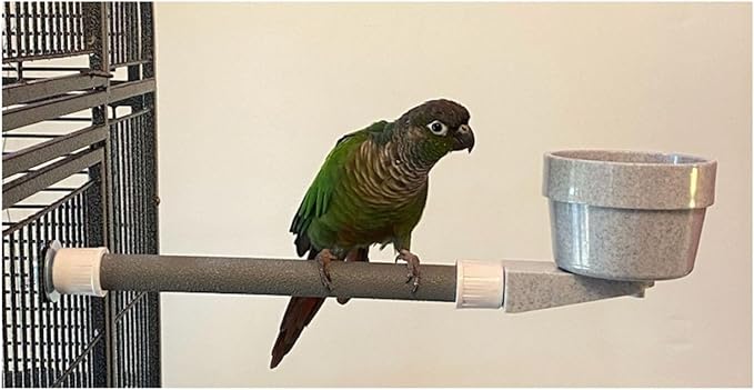 Polly's Mess Less Cups for Your Bird cage-Recommended for All Types of Birds Including Parakeets, Cockatiels, Parrots, Macaws, Cockatoos and More! (Small Long (15" x 3/4"))