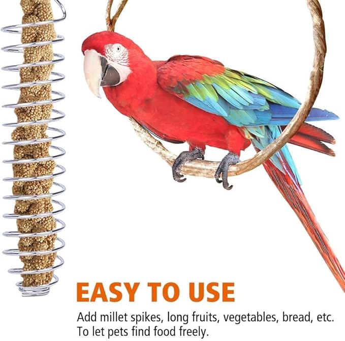 2PCS Bird Food Holders, Stainless Steel Parrot Feeder Basket Bite Resistant Bird Fruit Vegetable Skewer for Parrot Finch Canary Cockatoo