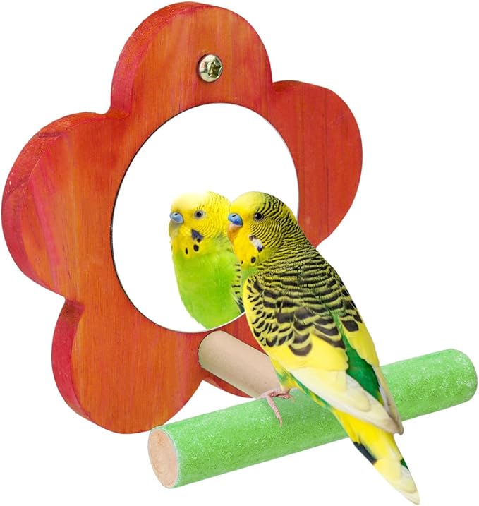 Hypeety Bird Mirror Toy with Perch Cage Standing Accessories Parrot Parakeet Budgies Cockatiel Conure Finch Lovebird African Grey Macaw Amazon Cockatoo Birdcage Wood Perch(Color Random) (Flower Shape)