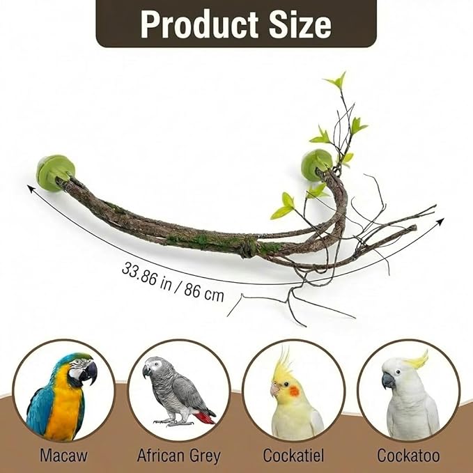 Large Natural Bird Perch for Cage, Bendable Tree Branch Parrot Perch Stand with Leaf Design, Bird Cage Accessories for Macaw, African Grey Parrot, Cockatiel, Cockatoo (Large)