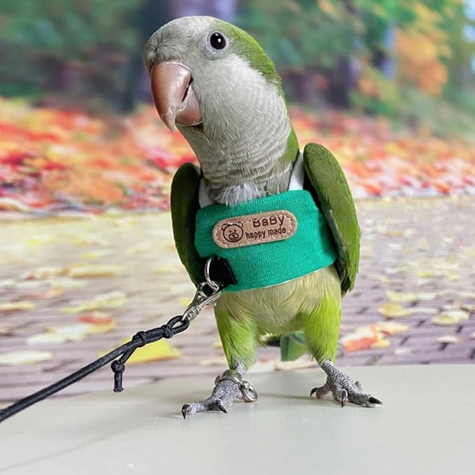 Bird Flight Harness Vest, Snap-Fastener Design Harness Vast, Parrot Flight Suit with Leash for Parakeets Budgies, Bird Flying Clothes with Rope and Handle for Outdoor Activities Training, Anti Bite