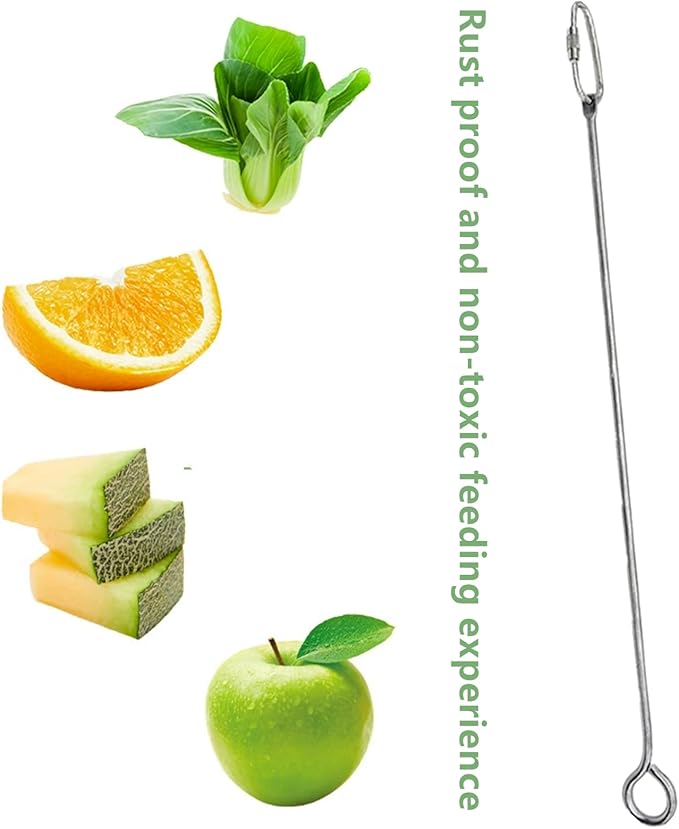 2 Pcs Bird Food Holder Small Animal Fruit Vegetable Skewer Hanging Feeders Toy Stainless Steel Feeding Stick Tool for Cage