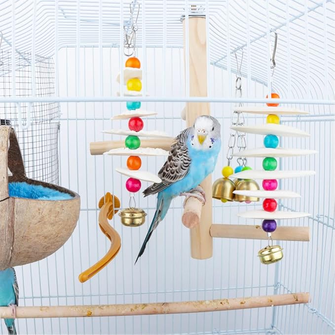 DQITJ 2 Pack Bird Cuttlebone Chew Toy, Natural Calcium Cuddle Bone for Bird Parrot Conure Cockatiel Budgie Sharp Beaks (6 Pcs in a Bunch)