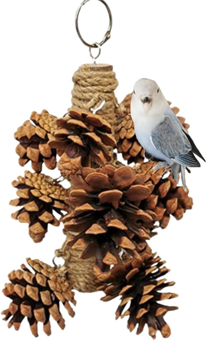Parrot Toys Natural Pine Cones Bird Chew Toys Hanging Chewing Sticks Toys Bird Cage Toys for Conures Parakeets Cockatoo Cockatiel (with 8 Pinecones)
