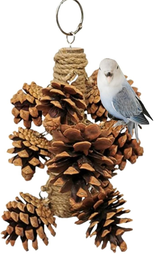 Parrot Toys Natural Pine Cones Bird Chew Toys Hanging Chewing Sticks Toys Bird Cage Toys for Conures Parakeets Cockatoo Cockatiel (with 8 Pinecones)