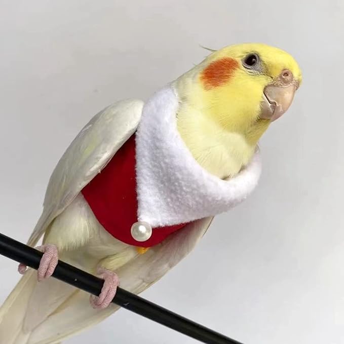 Bird Clothes Birds Flight Suit, Christmas Hoodie for Parrots Cockatiel Sun Conure Christmas Party Cosplay Photo Prop Bird Shirt Small Animals Apparel (A,Caique)