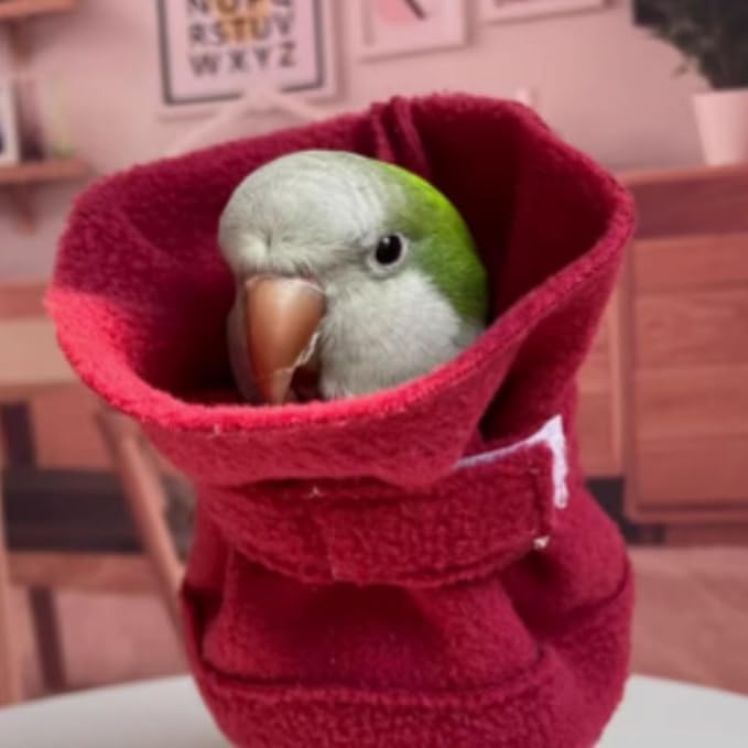Bird Neck Collar Pet Parrot Anti-bite Picking Feather Healing Protective Neck Cover Collar for Lovebird Macaw Conure Cockatoo African Grey Random Color (2XL)