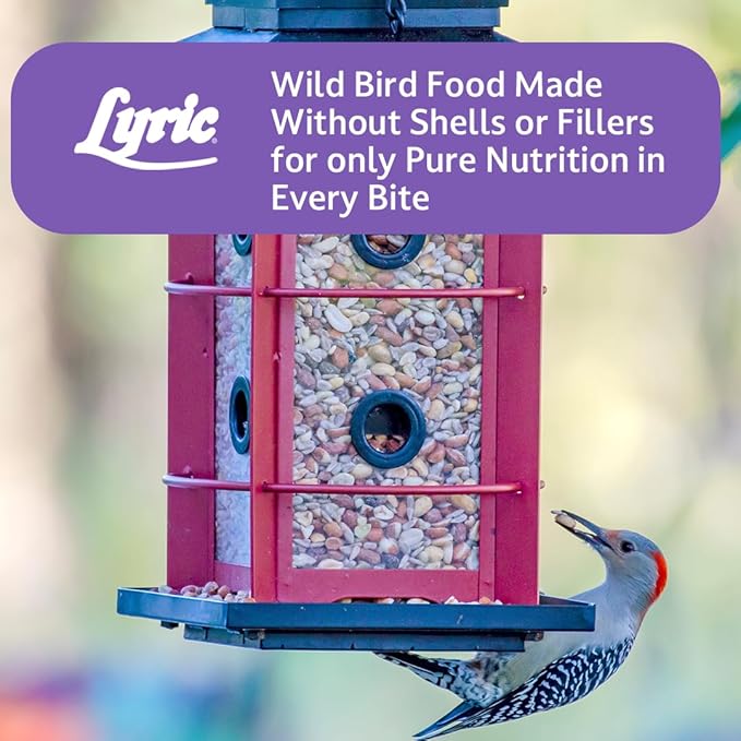 Lyric Delite Wild Bird Seed for Outside Feeders - No Waste Bird Food, Nuts & Seeds Mix, Attracts Buntings, Chickadees & Finches, 10 lb (Pack of 2-5 lb Bags)