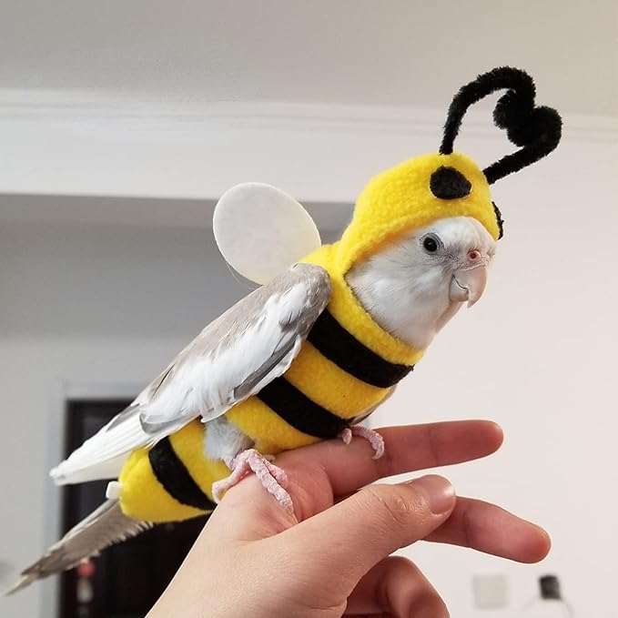 Bird Costume Diaper Flight Suit Bee Shape Hoodie Clothes Cosplay Photo Prop for Parrots Parakeet Cockatiel Sun Conure, Small Animals Apparel (Bee with Diaper, Small), Green (BPF1)