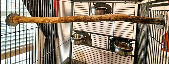 Polly's Full Length Hardwood Cage Perch for Parakeets, Cockatiels, Cockatoos, Macaws, and Other Birds (28")