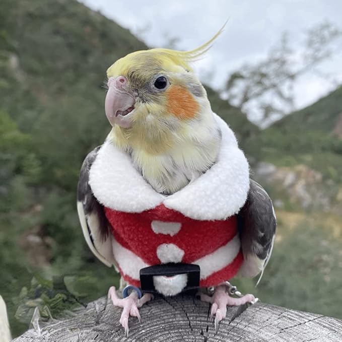Bird Clothes Birds Flight Suit, Christmas Hoodie for Parrots Cockatiel Sun Conure Christmas Party Cosplay Photo Prop Bird Shirt Small Animals Apparel (B,Common Hill Myna)