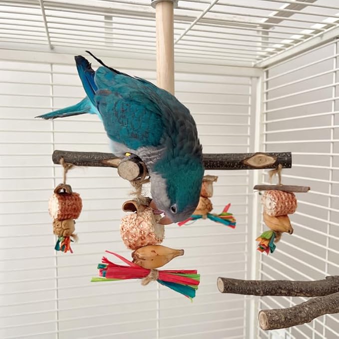 Bird Chew Toys Parrot Rotating Toys, Interactive Bird Cage Toys for Small Medium Birds, Durable Chewing Gnawing Beak Trimming Toys for Parakeet Cockatiel Conure Budgie Lovebird