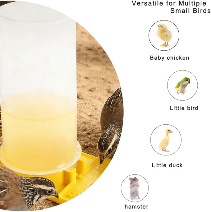 Large Capacity Quail Water Feeder with Small Cleaning Brush,Button Quail Supplies for coturnix cage,Baby Chick Water Feeder for Poultry Starter,Universal for Baby Chicks/Baby Birds
