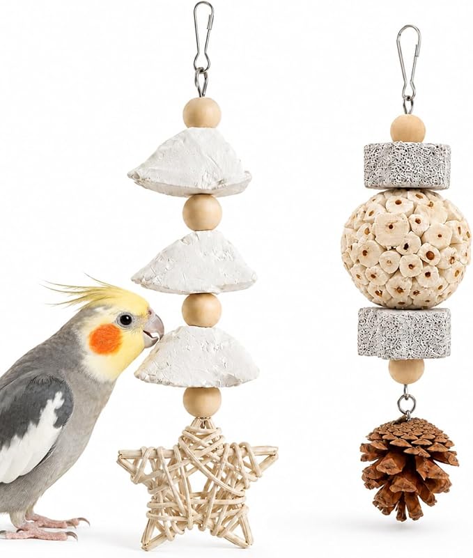 2 Pack Natural Bird Toys for Small Birds, Cuttlebone & Sola Chew Toy Set with Pumice Stone, Pine Cone and Rattan Star, Hanging Cage Accessories for Cockatiels, Budgies, Lovebirds and Conures