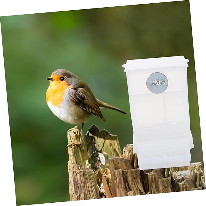 STOBOK 3pcs Automatic Bird Feeder Acrylic Parrot Food Box No- Bird Feeder Food Container Cage Accessories for Budgerigar Canary