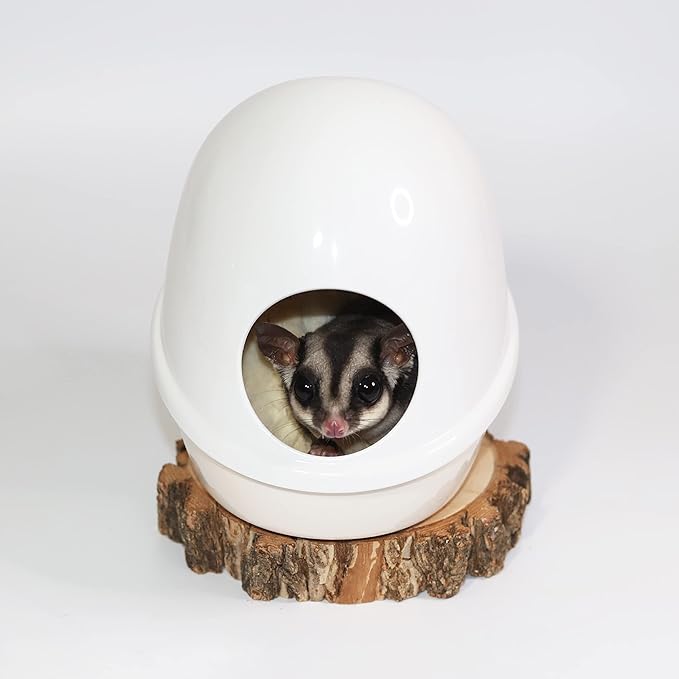 Press 'N' Slide Feed Station - Durable Mounted Food Bowl Dish - Sugar Gliders, Squirrels, Prairie Dogs, Degus, Marmosets, Parrots, Birds, Rats, Hamsters, Gerbils & Other Small Pets… (with Dome)