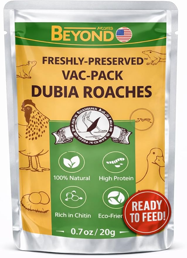 BeyondFeed™ USA Grown Freshly Preserved Vac-Pack Feeder Insects – Ready-to-Feed Protein Treats for Reptiles, Birds, Fish & Aquatic Turtles (Fresh Dubia Roaches-3Pack Bundle 60g/2.12 oz)