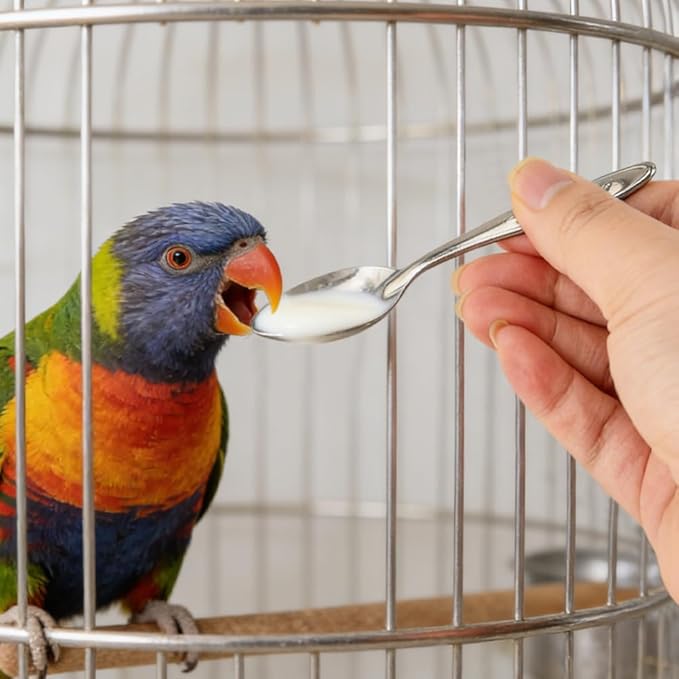 Automatic Bird Feeder with 2 Spoons, No Mess Bird Feeder for Cage, Transparent Bi-rd Cage Accessories for Parakeet Canary Cockatiel Finch(Color:White)