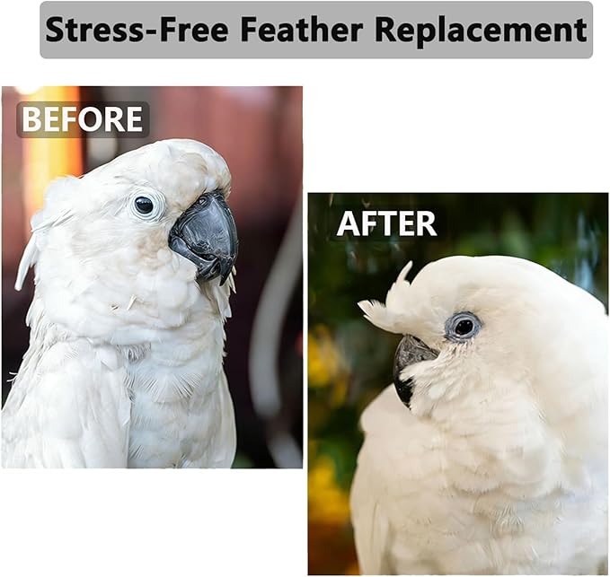 Calcium for Birds with Magnesium & Vitamin D3 – 4oz Powder, Essential for Molting, Faster Feather Regrowth, Strong Beak & Bone | Parrot Supplement