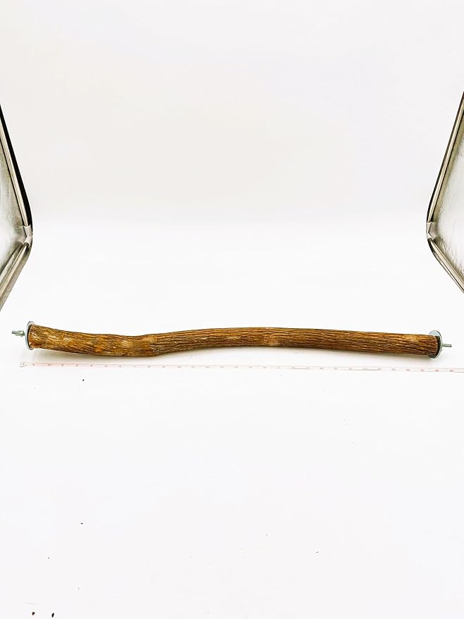 Polly's Full Length Hardwood Cage Perch for Parakeets, Cockatiels, Cockatoos, Macaws, and Other Birds (28")