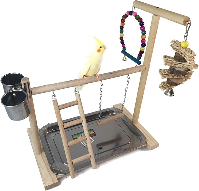 Hamiledyi Parrot Playground Bird Play Stand Play Gym with Feeder Cups,Swings, Ladder and Tray, Wood Parakeet Playground Outside Cage for Cockatiel Lovebird Budgie