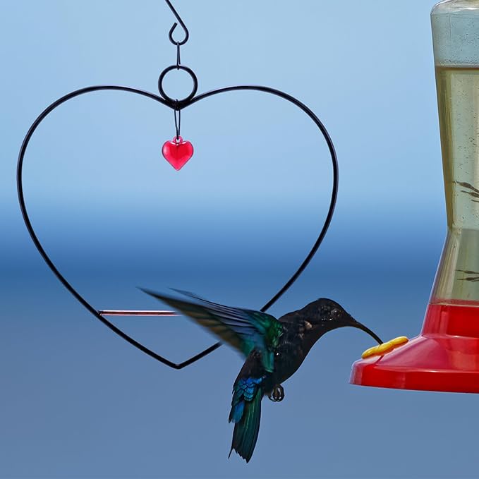 LemonRoad 2 Pcs Hummingbird Swing Bird Swings Metal Frames Birdie Swing with Red Decor Copper Hummingbird Perch with Iron S Hooks for Hanging Indoor Outdoor Trunk Lawn Patio Garden