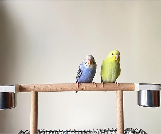 Bird Feeder & Water Dish Set, Beech Wood Made Cage Top Bird Feeder Perch with Stainless Steel Cups, Playground Accessories for Parrots Cockatiels Finches