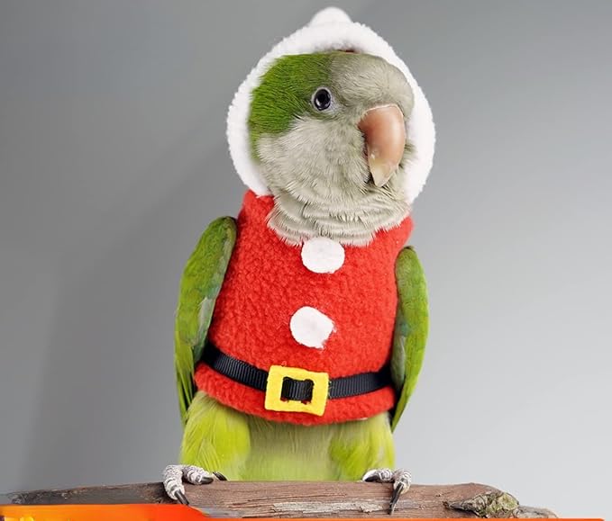 Bird Clothes Birds Flight Suit, Christmas Hoodie for Parrots Cockatiel Sun Conure Christmas Party Cosplay Photo Prop Bird Shirt Small Animals Apparel (with Diaper,Alexandrine)