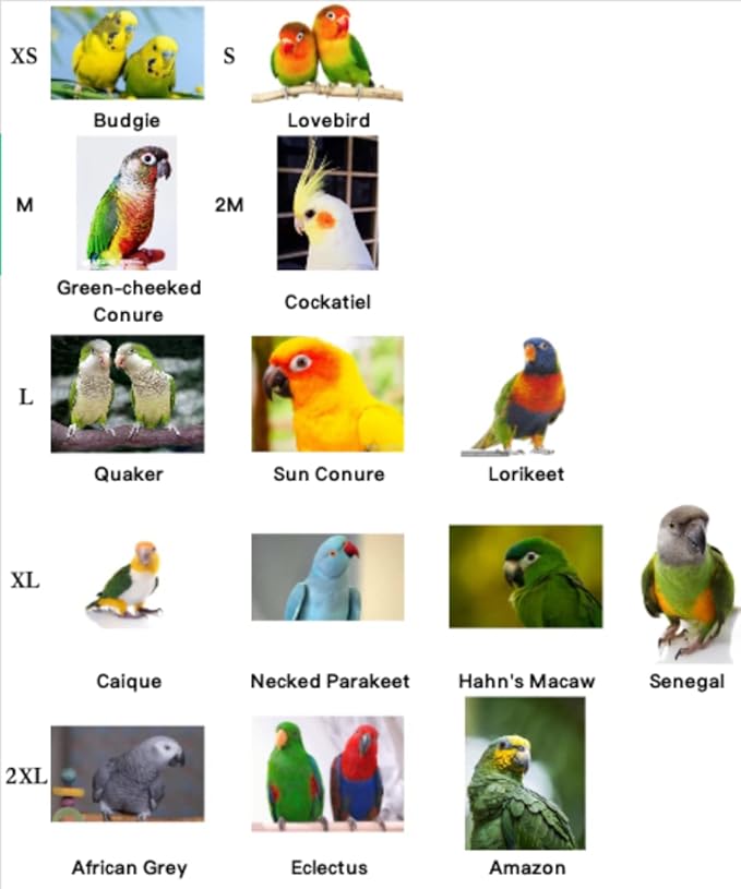 Bird Flight Harness Vest, Snap-Fastener Design Harness Vast, Parrot Flight Suit with Leash for Parakeets Budgies, Bird Flying Clothes with Rope and Handle for Outdoor Activities Training, Anti Bite