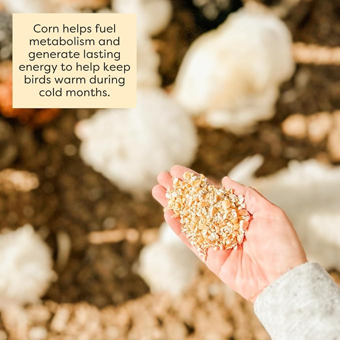 Scratch and Peck Cracked Corn Chicken, Duck and Livestock Supplemental Grain - 8 lbs Bag - 7.5% Protein, Certified Organic and Non-GMO Project Verified Chicken Food