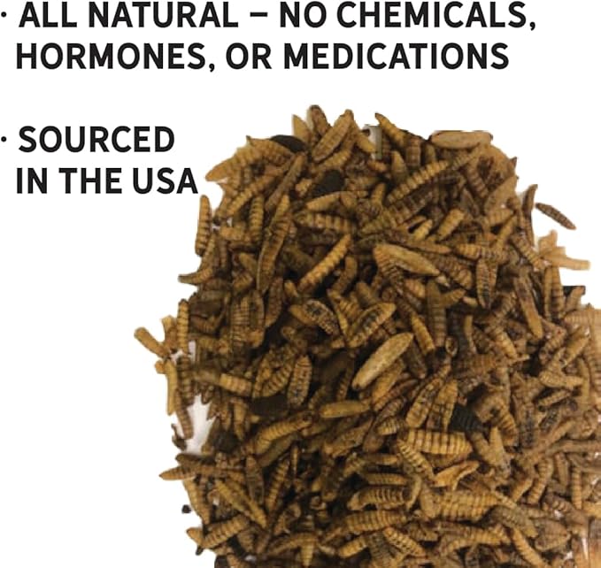 New Country Organics | Flock Perfect Chicken Dance Grubs for Chickens | 3.5 lbs